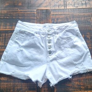 Women's shorts